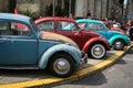 The beetle owners gathering Royalty Free Stock Photo