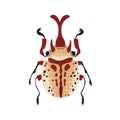 Beetle with proboscis. Bug with long nose, snout, top view. Spotted winged insect. Fantasy abstract fauna species. Flat