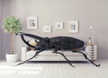 The beetle in the room Royalty Free Stock Photo