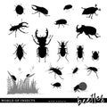 Beetle silhouettes with nature scenes.