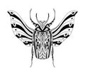 Beetle tattoo art. Cetonia aurata. Print design. T-shirt. Scarab Poster