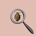 Beetle under the Magnify glass and virus or lady bug. Insect icon. engraved hand drawn in old sketch and vintage symbols Royalty Free Stock Photo