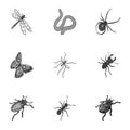 Beetle, wasp, bee, ant, fly, spider, mosquito and other insect species. Various insects set collection icons in