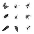 Beetle, wasp, bee, ant, fly, spider, mosquito and other insect species. Various insects set collection icons in black