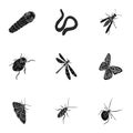 Beetle, wasp, bee, ant, fly, spider, mosquito and other insect species. Various insects set collection icons in black