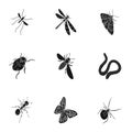 Beetle, wasp, bee, ant, fly, spider, mosquito and other insect species. Various insects set collection icons in black