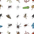 Beetle, wasp, bee, ant, fly, spider, mosquito and other insect species. Various insects set collection icons in cartoon