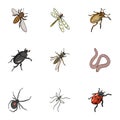 Beetle, wasp, bee, ant, fly, spider, mosquito and other insect species. Various insects set collection icons in cartoon