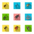 Beetle, wasp, bee, ant, fly, spider, mosquito and other insect species. Various insects set collection icons in flat