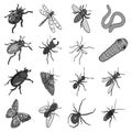 Beetle, wasp, bee, ant, fly, spider, mosquito and other insect species. Various insects set collection icons in