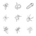 Beetle, wasp, bee, ant, fly, spider, mosquito and other insect species. Various insects set collection icons in outline