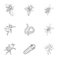 Beetle, wasp, bee, ant, fly, spider, mosquito and other insect species. Various insects set collection icons in outline