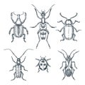Beetles and bugs vector sketch illustration. Set of doodle hand drawn insects isolated on white background Royalty Free Stock Photo