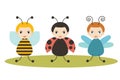 Beetles, cartoon ladybird, bee and dragonfly on white background. Royalty Free Stock Photo