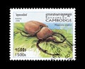 Beetles on postage stamps