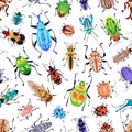 Beetles, seamless pattern. Bugs, colorful endless nature background. Summer fauna species, repeating print. Texture Royalty Free Stock Photo