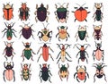 Beetles set, insects outline vector, icons. Exotic bugs collection.hand drawn doodle style, colorful Royalty Free Stock Photo