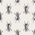 Beetles vintage seamless pattern