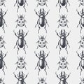 Beetles vintage seamless pattern