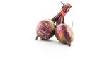 Beetroot bunch isolated on white background Royalty Free Stock Photo