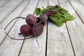 Beetroot bunch on white wood Royalty Free Stock Photo