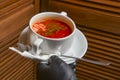 Beetroot and cabbage soup, borshch. Waiter serving dinner at restaurant or diner, eating out concept Royalty Free Stock Photo