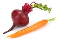 Beetroot and carrot isolated on white background Royalty Free Stock Photo