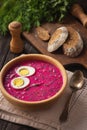 Beetroot cold soup with yogurt and eggs. Royalty Free Stock Photo