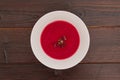 Beetroot creme soup on a table