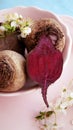 Beetroot, fresh cross section of beets Royalty Free Stock Photo