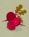 Beetroot and halves of beetroot illustration. Red beetroot, leaves and flowers on shabby background.