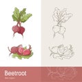 Beetroot Royalty Free Stock Photo