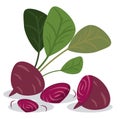 Beetroot healthy vitamins food