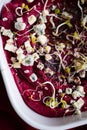 Beetroot hummus with bleu cheese and alpha alpha sprouts, close up Royalty Free Stock Photo