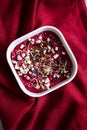 Beetroot hummus with bleu cheese and alpha alpha sprouts Royalty Free Stock Photo