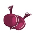 Beetroot Icon