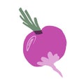 Beetroot illustration, collage image of root vegetable on white background Royalty Free Stock Photo