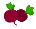 Beetroot illustration vector Royalty Free Stock Photo