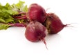 Beetroot isolated Royalty Free Stock Photo