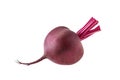 Beetroot isolated. Fresh beet isolated on white background with clipping path Royalty Free Stock Photo