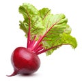 Beetroot isolated Royalty Free Stock Photo