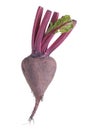 Beetroot isolated Royalty Free Stock Photo