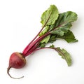 Beetroot isolated on white background Royalty Free Stock Photo