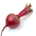 Beetroot isolated on white background Royalty Free Stock Photo