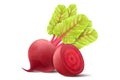 Beetroot isolated on white background. Fresh red beetroot whole and a half with leaves. Realistic 3d vector illustration of Royalty Free Stock Photo