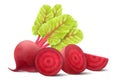 Beetroot isolated on white background. Fresh red beetroot whole, half, quarters and slices with leaves. Realistic 3d vector Royalty Free Stock Photo