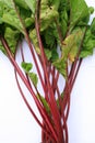 Beetroot Leaves Royalty Free Stock Photo