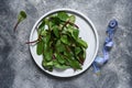 Beetroot leaves in a concrete plate and a centimeter