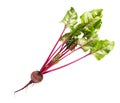 Beetroot with leaves, fresh whole beet isolated on white background.