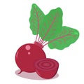 Beetroot with leaves vegetable icon. Isolated on white background Royalty Free Stock Photo